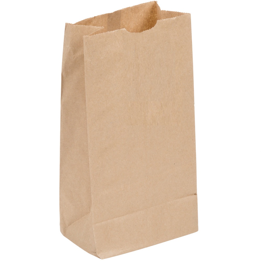 Brown Paper Bag Small Size